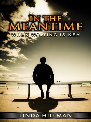 cover image of In the Meantime